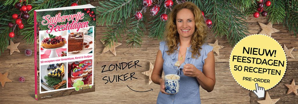 suikervrije feestdagen receptenboek