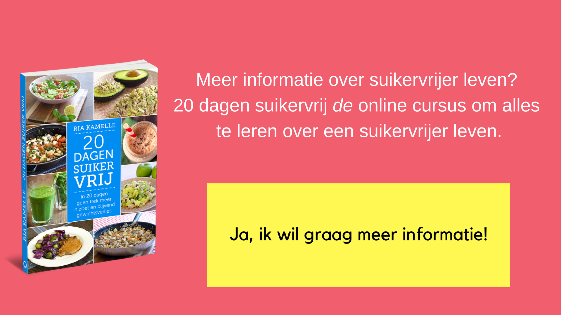 suikervrijer leven cursus suikervrij