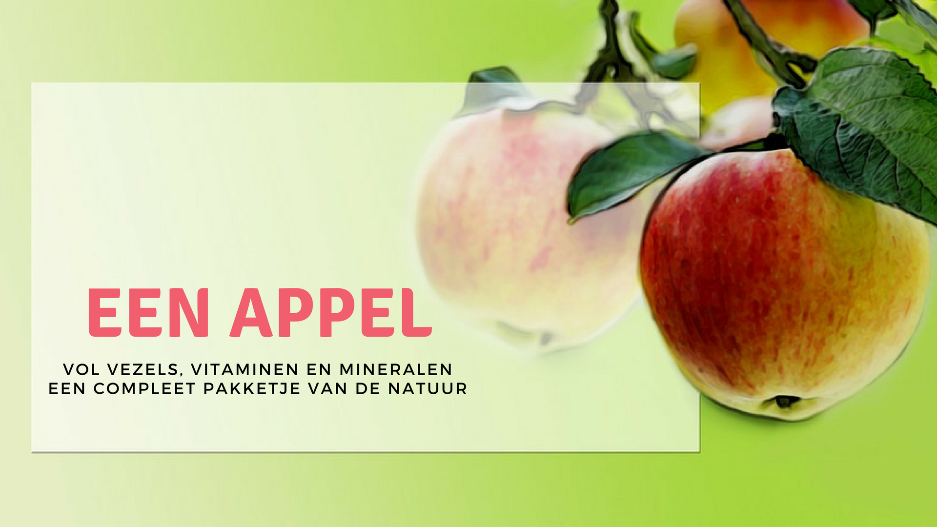 Fruitsuiker De suiker in fruit, hoe zit dat nou met die suikers?