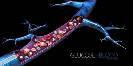wat zijn koolhydraten Glucose brandstof bloedsuikerspiegel