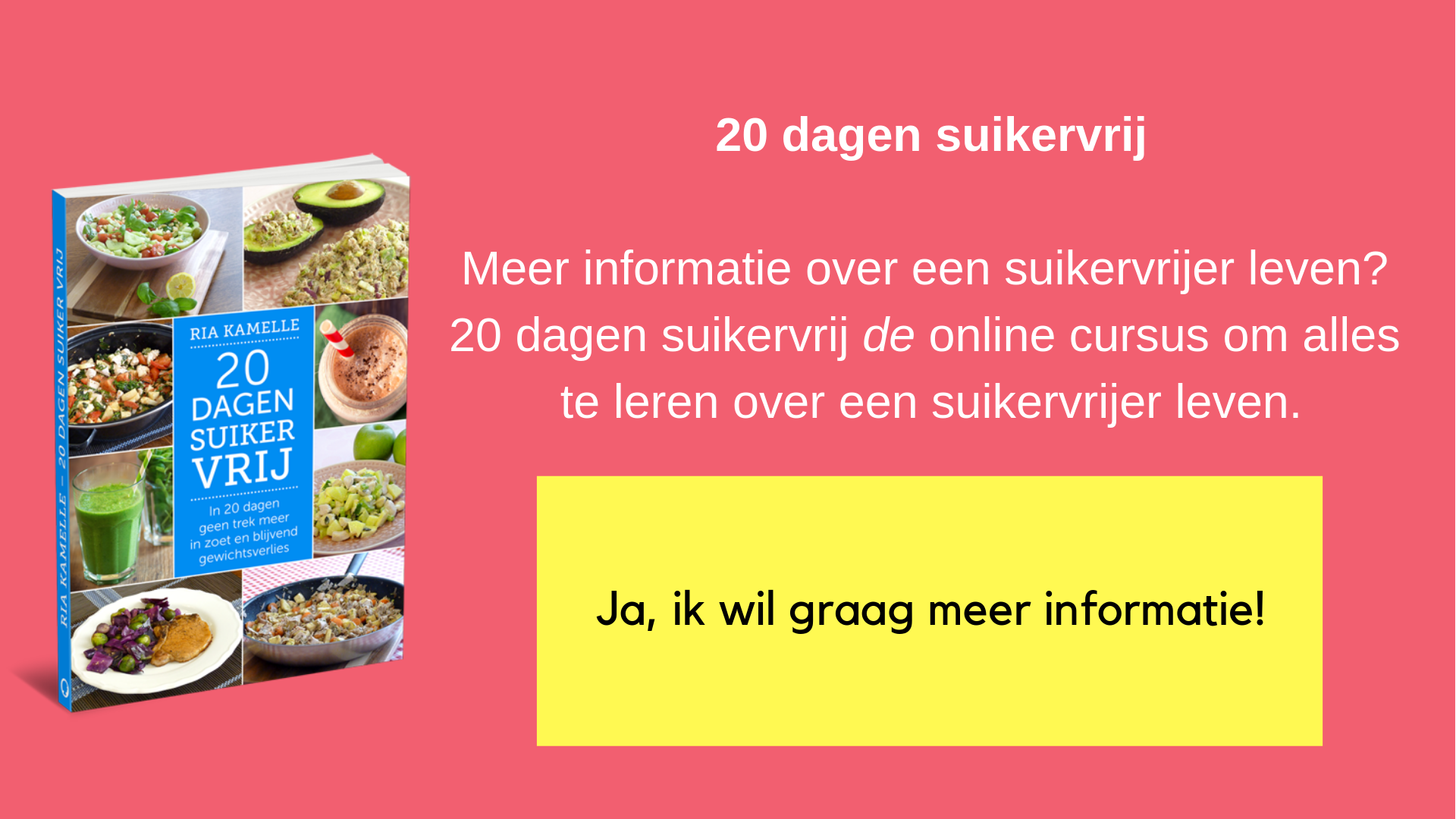 stappenplan suikervrij leven cursus suikervrij