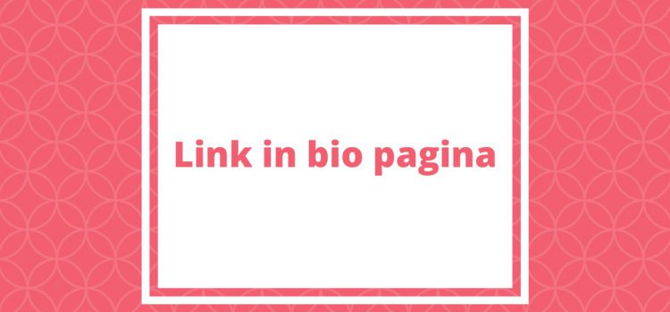 Link in bio pagina link in bio pagina