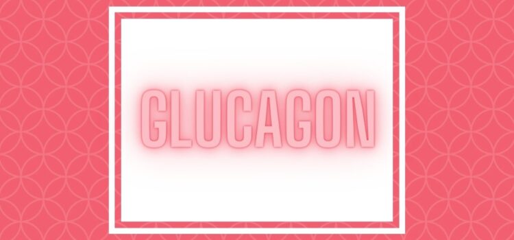 Wat is glucagon